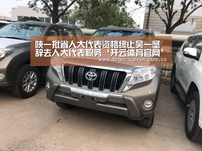 开云体育网站