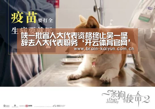 开云体育官网